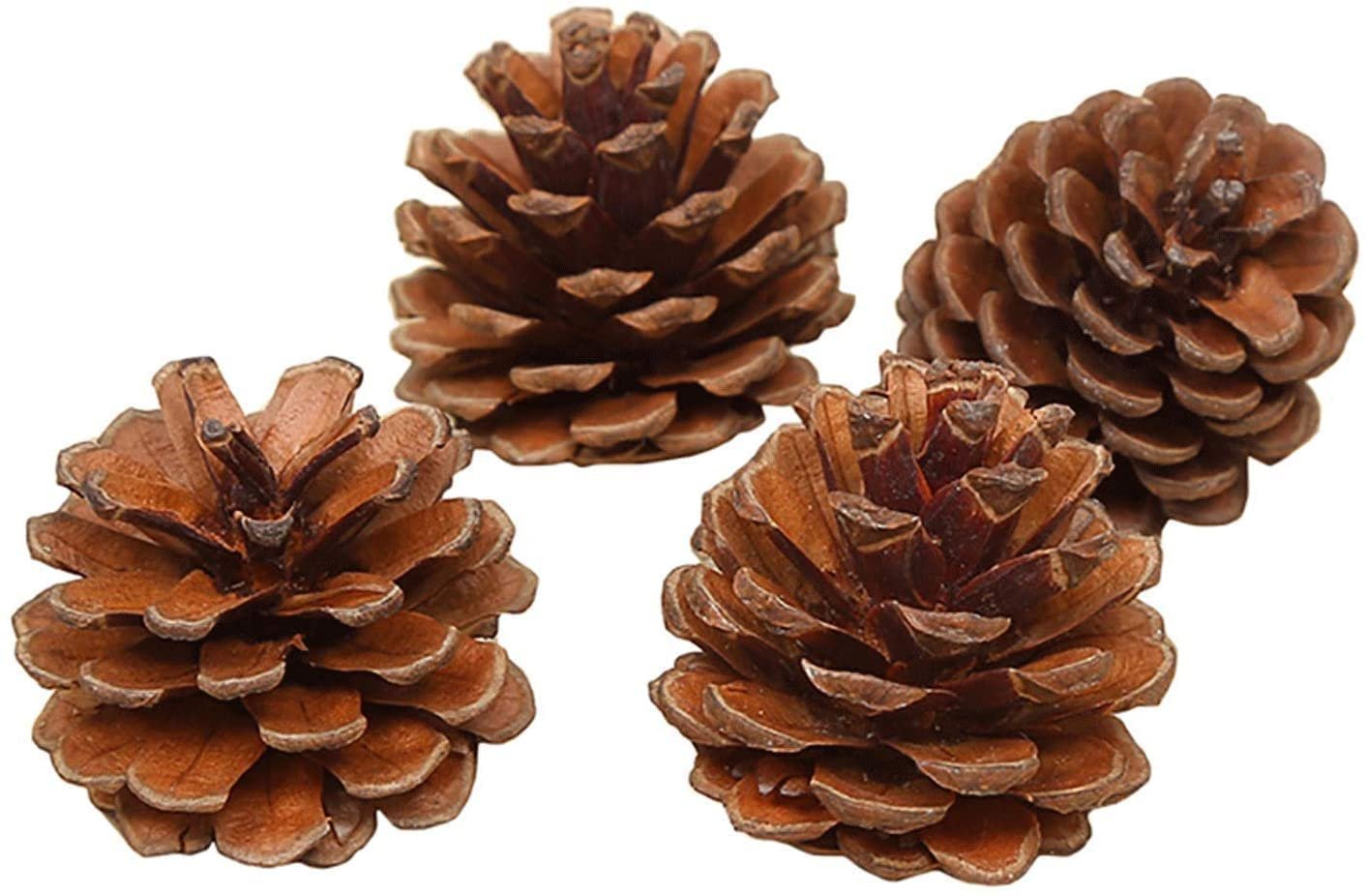 Natural Snow-Tipped Wooden Pine Cones (Pack of 12) – Rustic Christmas Tree Ornaments & Festive Hanging Decorations - Image 4