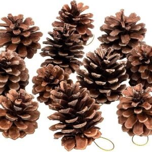 Natural Snow-Tipped Wooden Pine Cones (Pack of 12) – Rustic Christmas Tree Ornaments & Festive Hanging Decorations