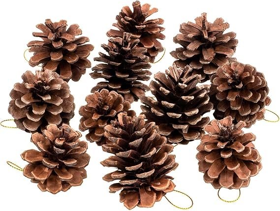 Natural Snow-Tipped Wooden Pine Cones (Pack of 12) – Rustic Christmas Tree Ornaments & Festive Hanging Decorations